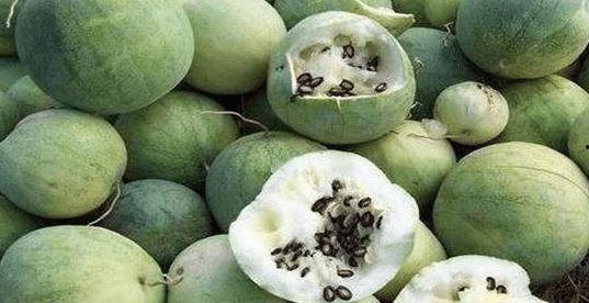 买黑皮面瓜吃,探寻神秘果实的独特风味