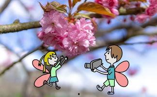 小樱花吃瓜红光,揭秘网络红人的神秘魅力