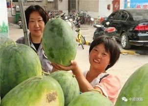 韩城小区吃瓜事件,邻里纷争背后的真相揭秘