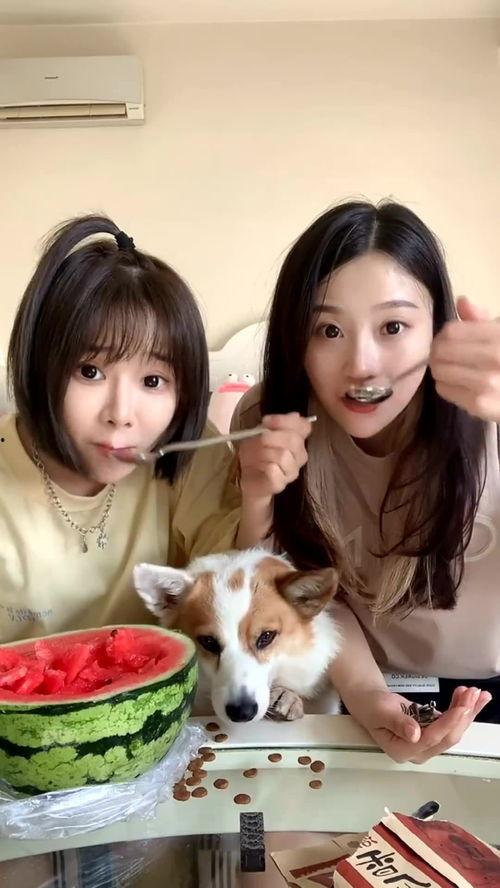 闺蜜吃瓜,娱乐圈幕后故事全曝光