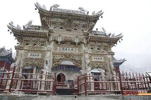 龙泉寺吃瓜,揭秘吃瓜背后的文化现象