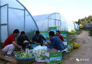孝义吃瓜群众,吃瓜群众热议时事风云
