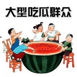 阿小瓜嘻嘻哈哈到处吃瓜,阿小瓜的欢乐瓜界之旅